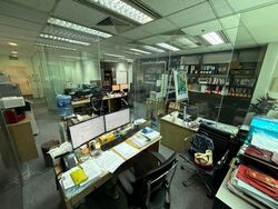 Tan Eng Kiam Building (D1), Office #540035281